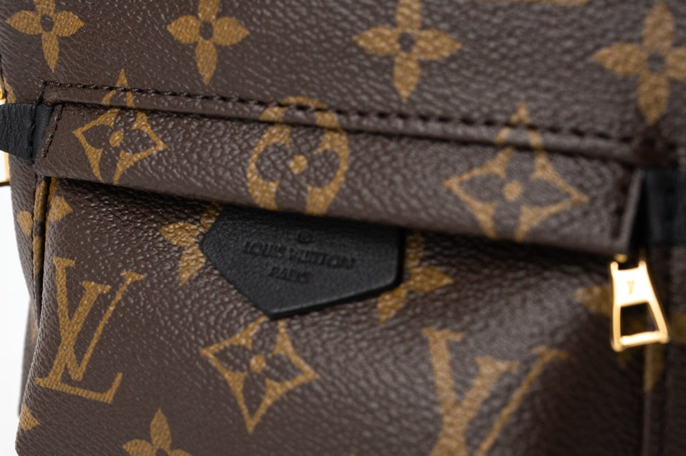Louis Vuitton Backpack Louis Vuitton Palm Springs Mini Backpack Monogram - Redeluxe