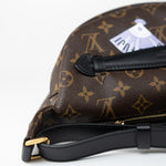 Louis Vuitton Handbag Louis Vuitton Monogram My LV World Tour Bumbag - Redeluxe