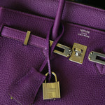 Product image 18 of 22: Birkin 25 Anemone Togo Palladium Plated R Square Stamp