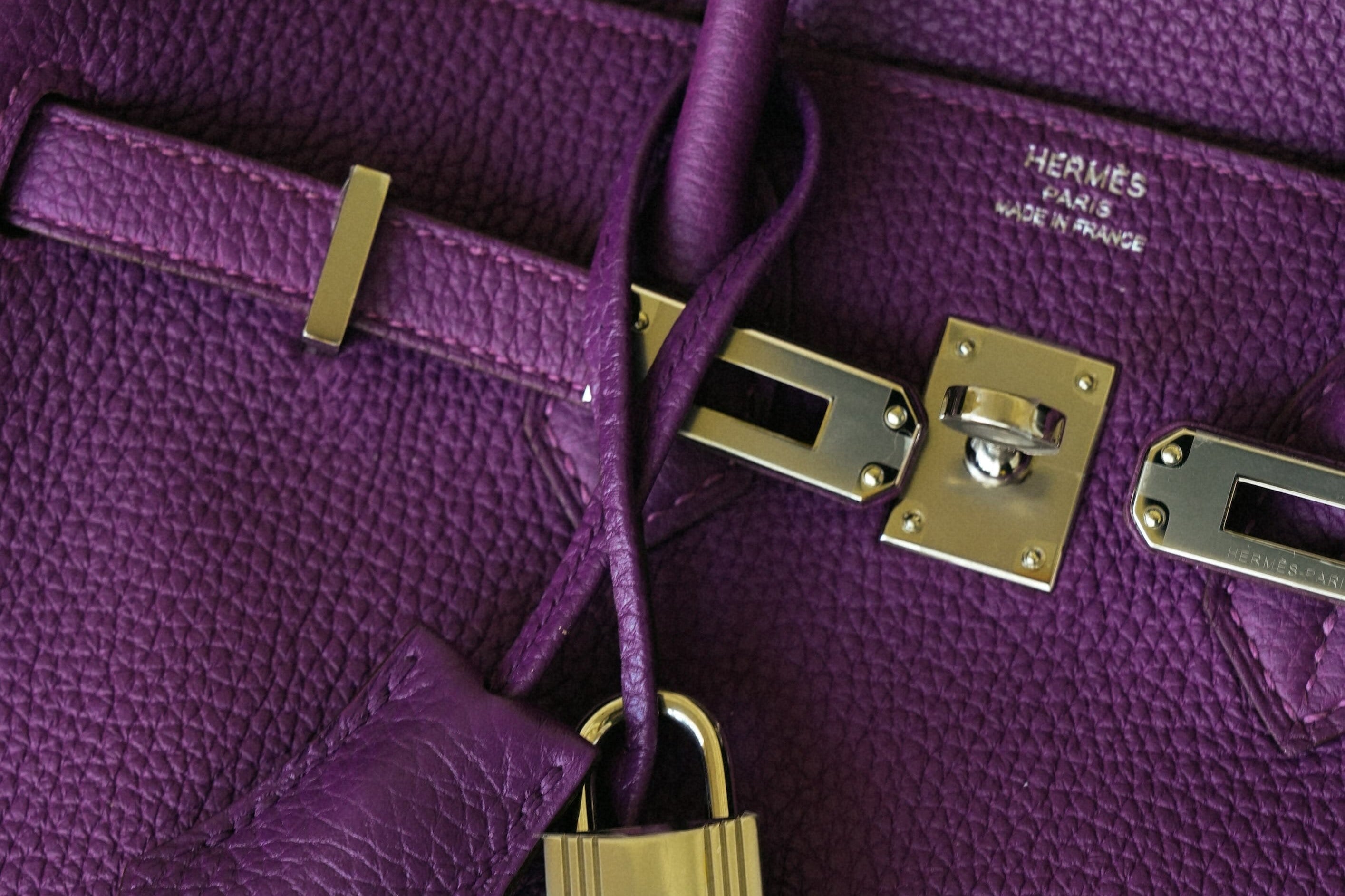 Birkin 25 Anemone Togo Palladium Plated R Square Stamp