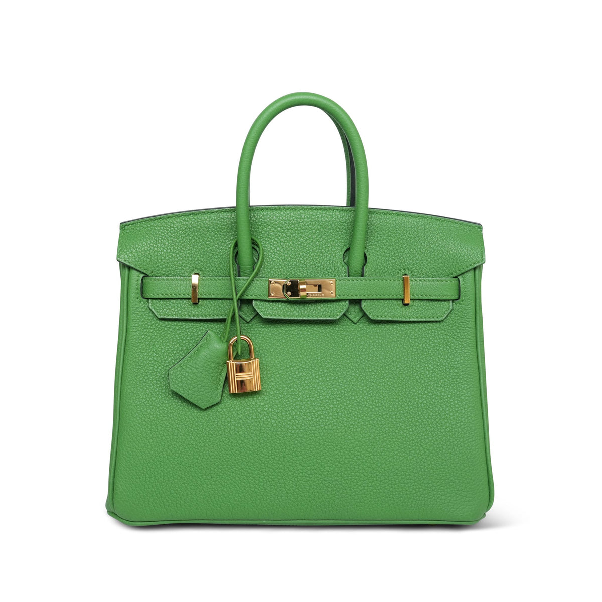 Birkin 25 Vert Yucca Togo Gold Plated W Stamp