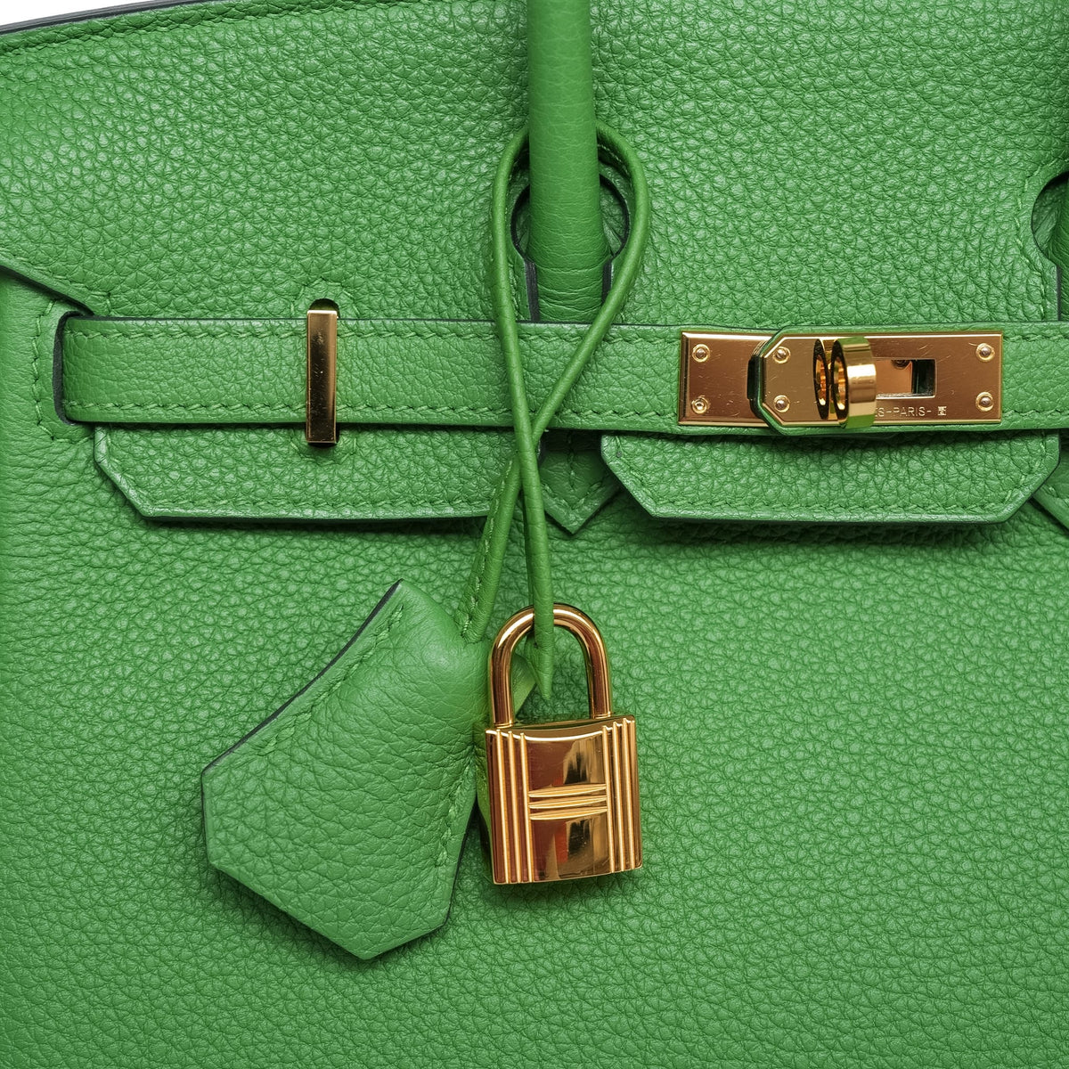 Birkin 25 Vert Yucca Togo Gold Plated W Stamp