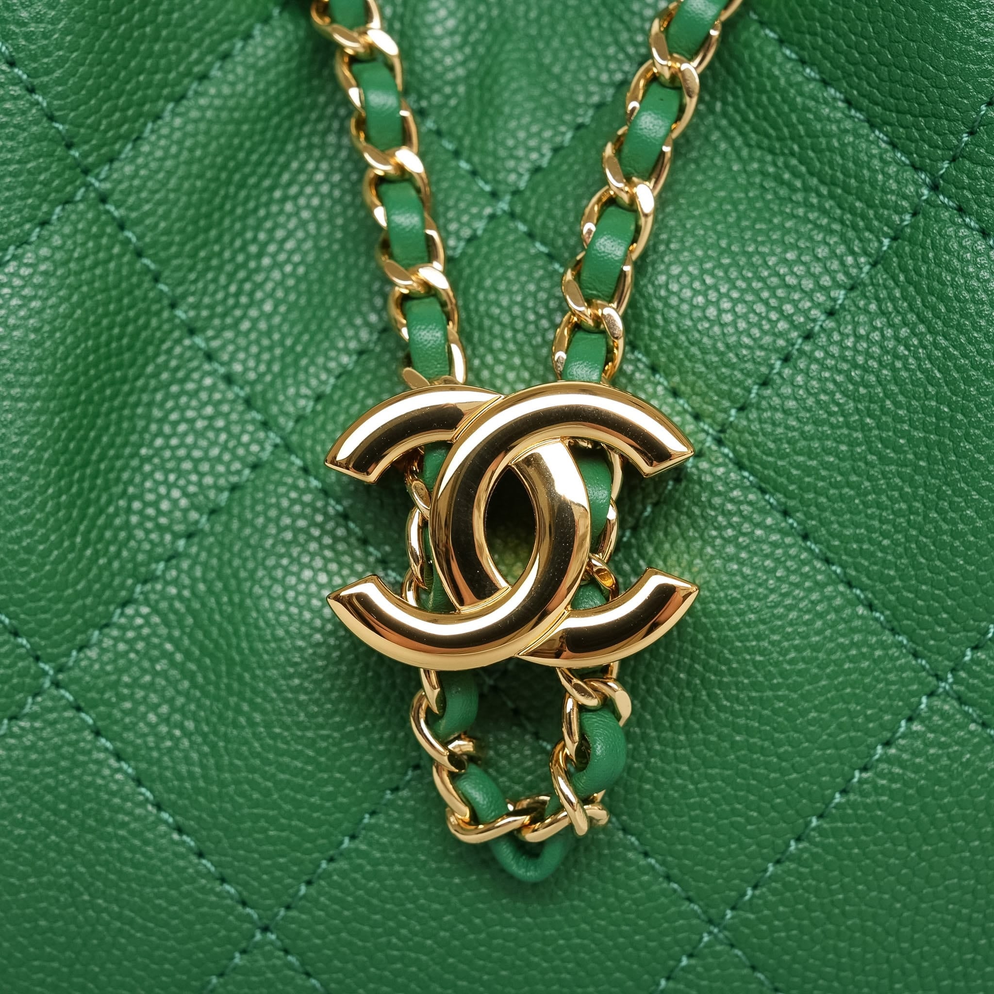 Product image 8 of 19: Green Caviar Quilted 25 Hobo Bag Mini Gold Hardware