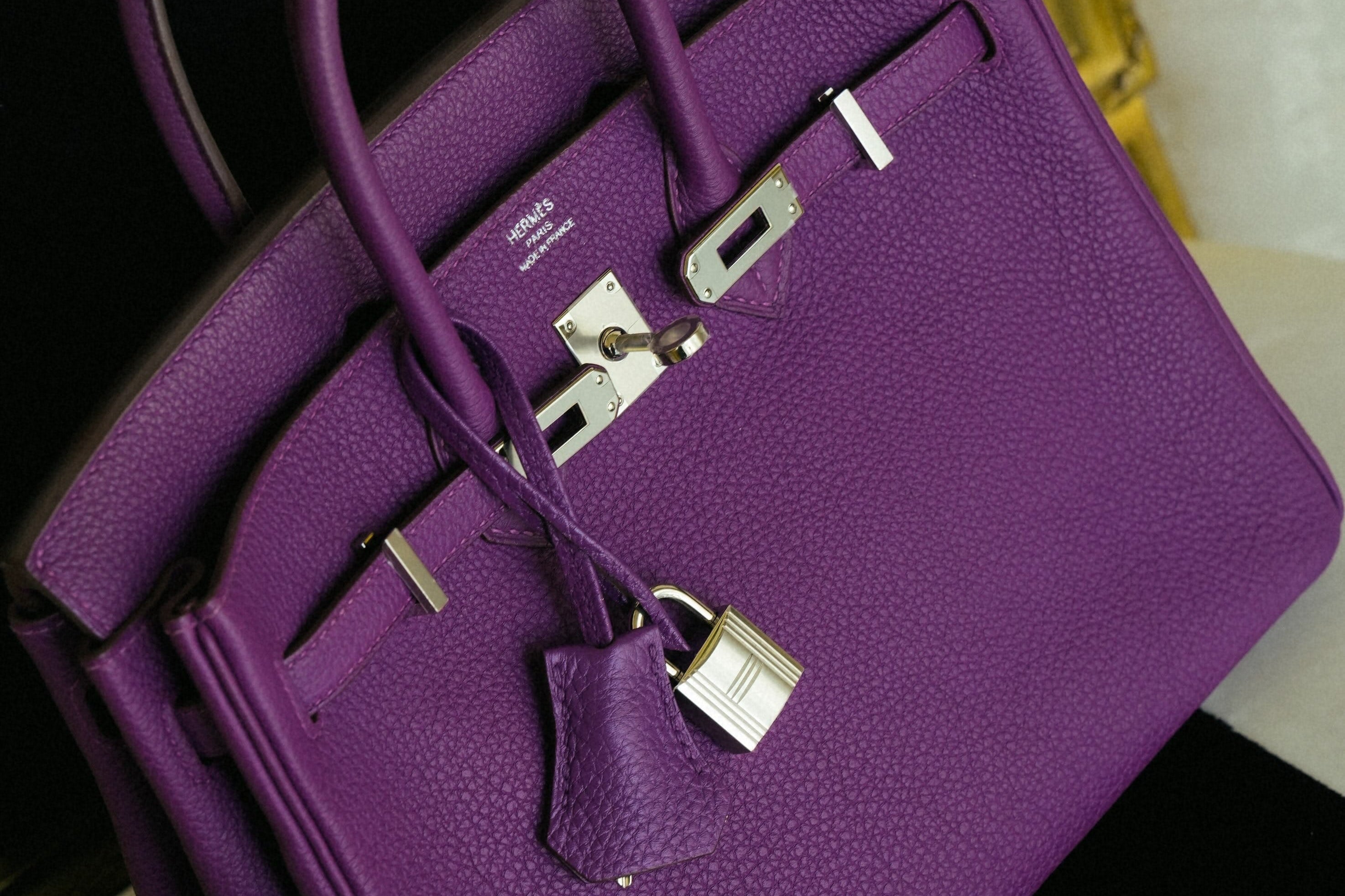 Birkin 25 Anemone Togo Palladium Plated R Square Stamp