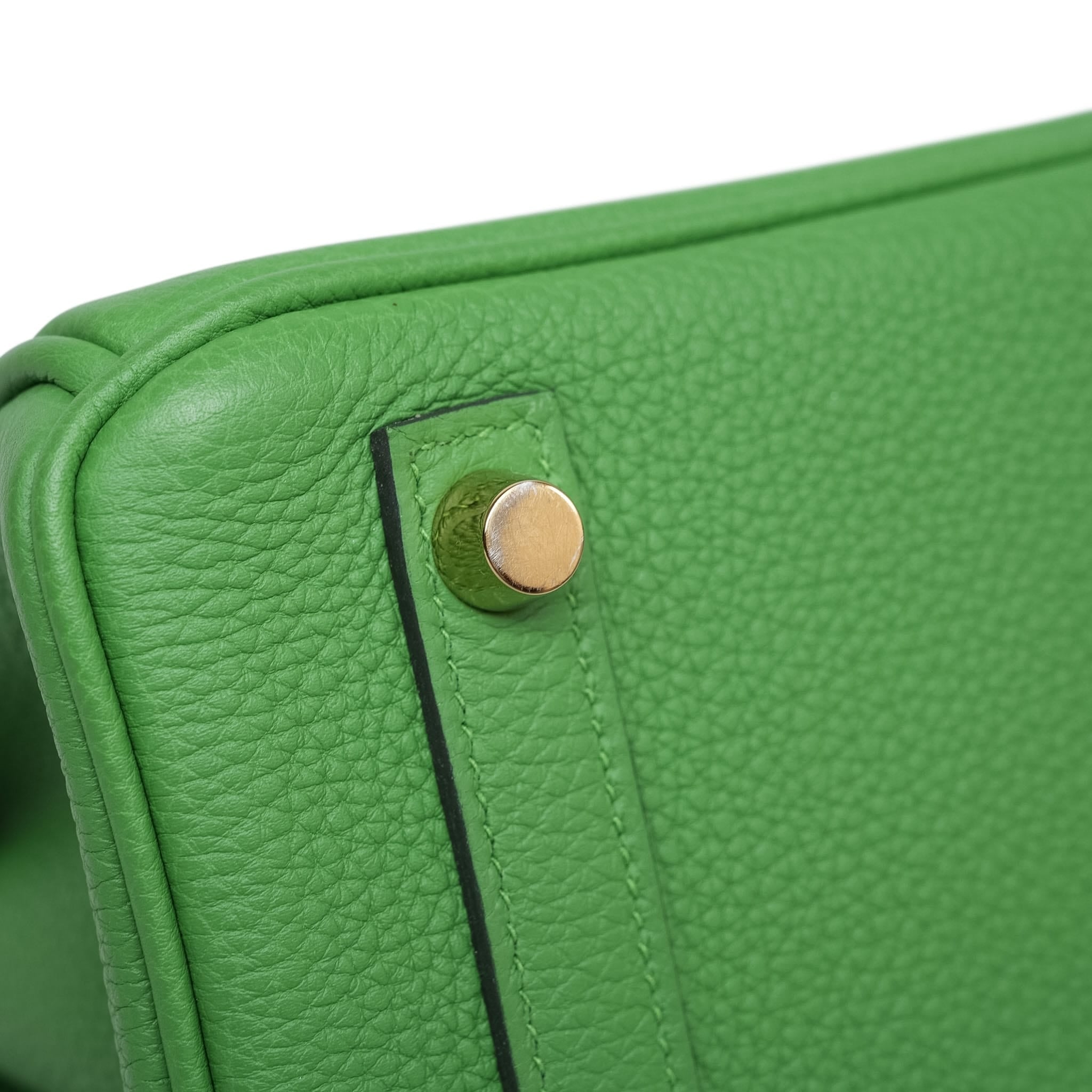 Product image 19 of 19: Birkin 25 Vert Yucca Togo Gold Plated W Stamp
