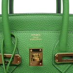 Product image 3 of 19: Birkin 25 Vert Yucca Togo Gold Plated W Stamp