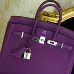 Product image 22 of 22: Birkin 25 Anemone Togo Palladium Plated R Square Stamp