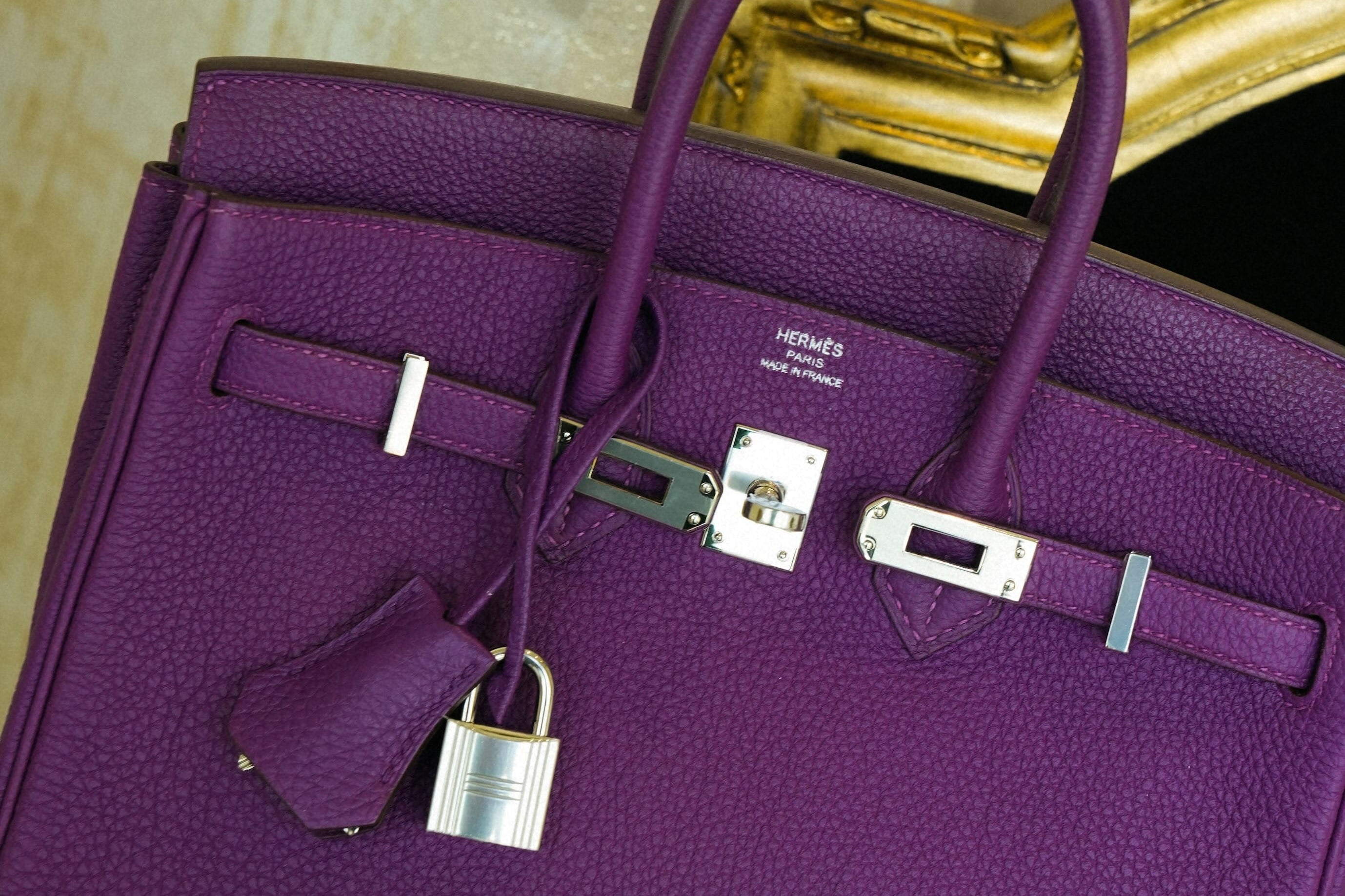Birkin 25 Anemone Togo Palladium Plated R Square Stamp