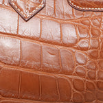 Product image 21 of 21: Birkin 30 Fauve Barenia Alligator Palladium Plated P Square Stamp