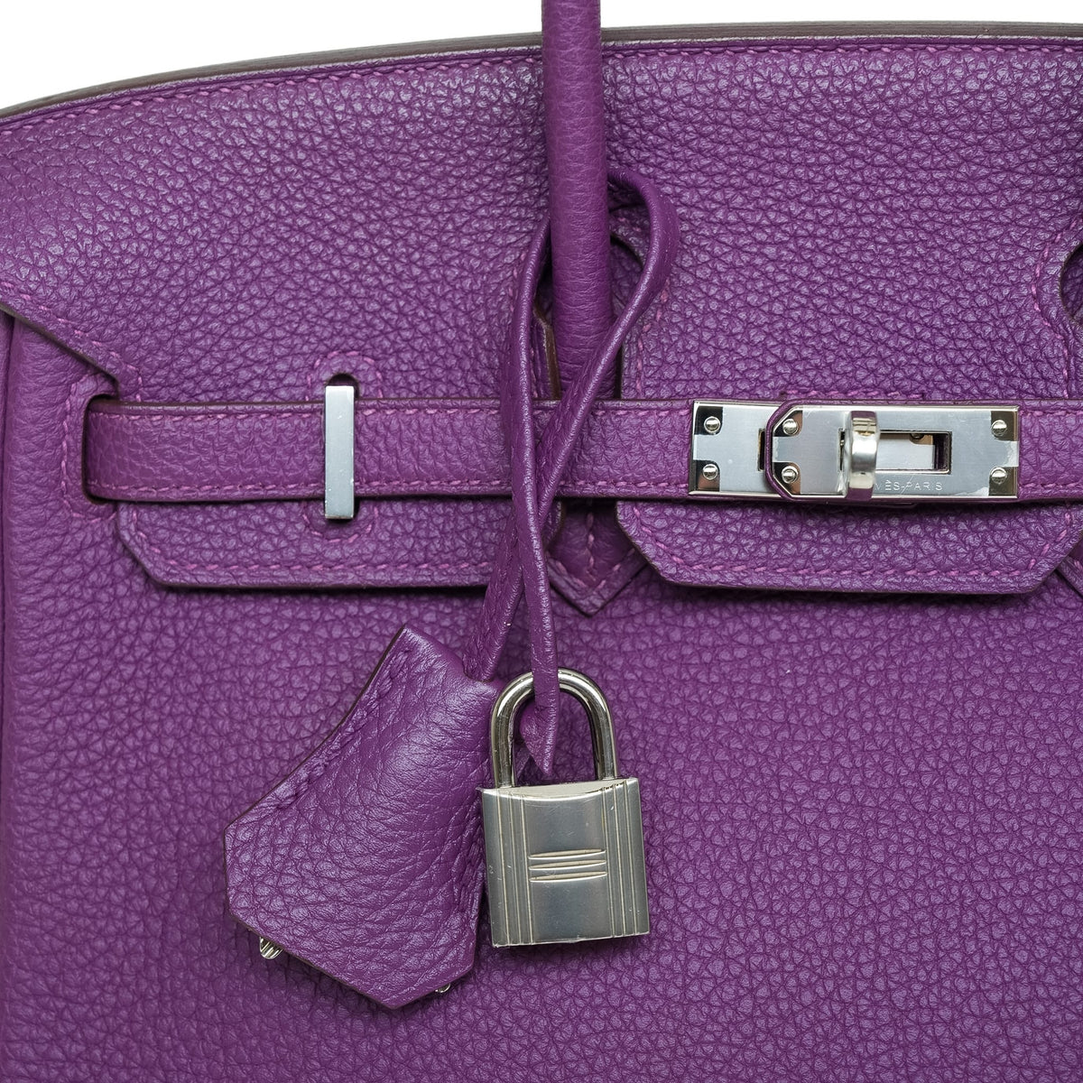 Birkin 25 Anemone Togo Palladium Plated R Square Stamp