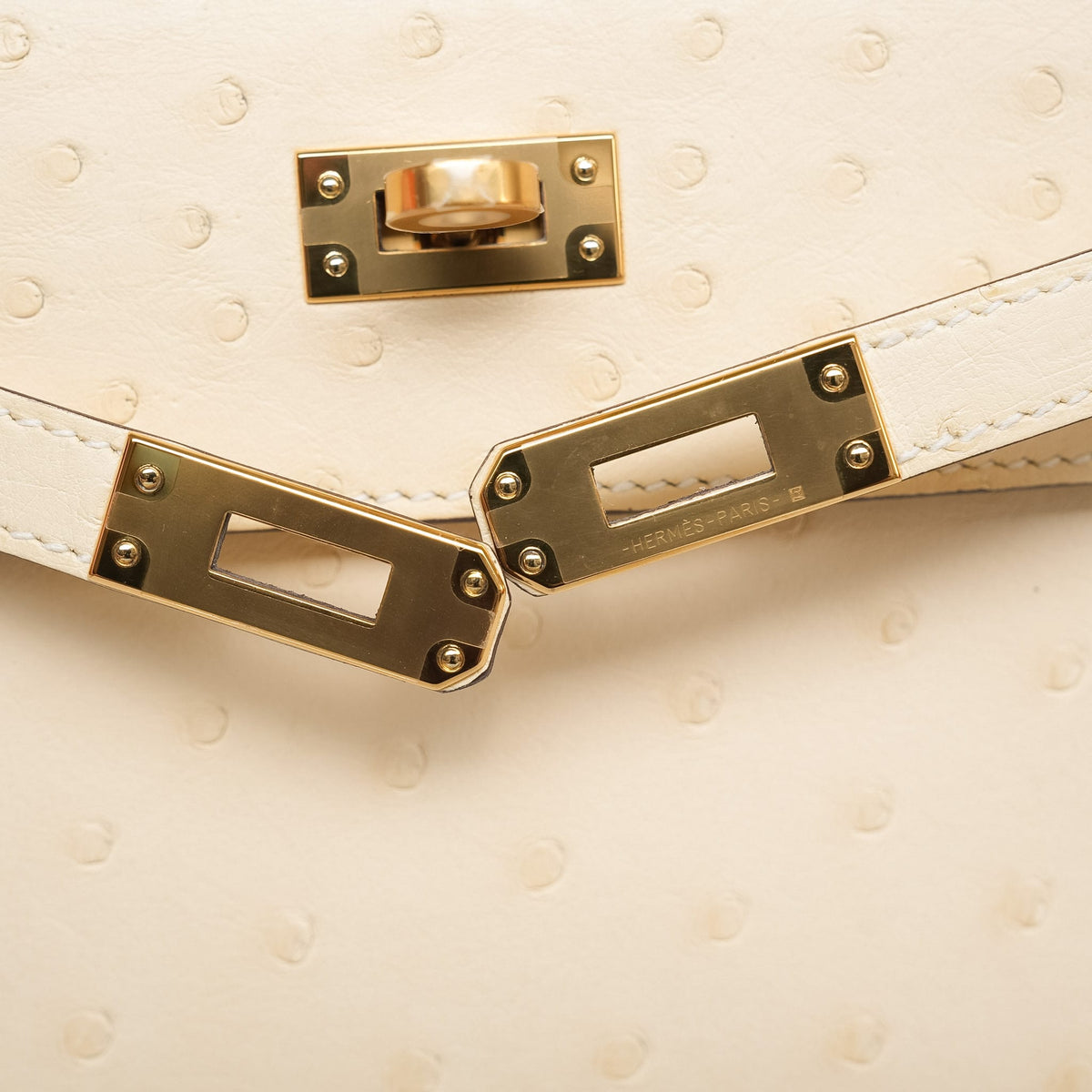 Kelly Pochette Nata Ostrich Gold Plated W Stamp