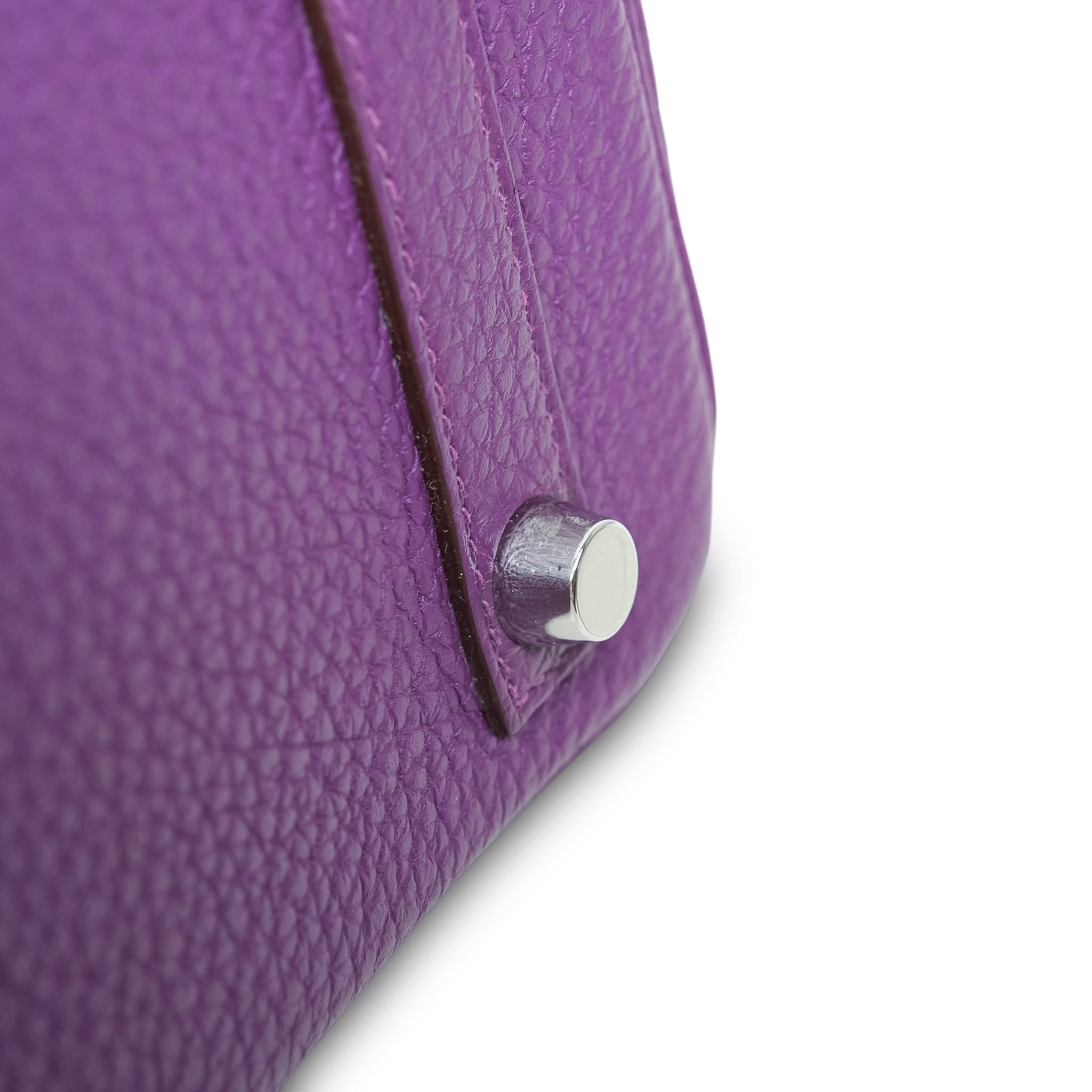 Birkin 25 Anemone Togo Palladium Plated R Square Stamp