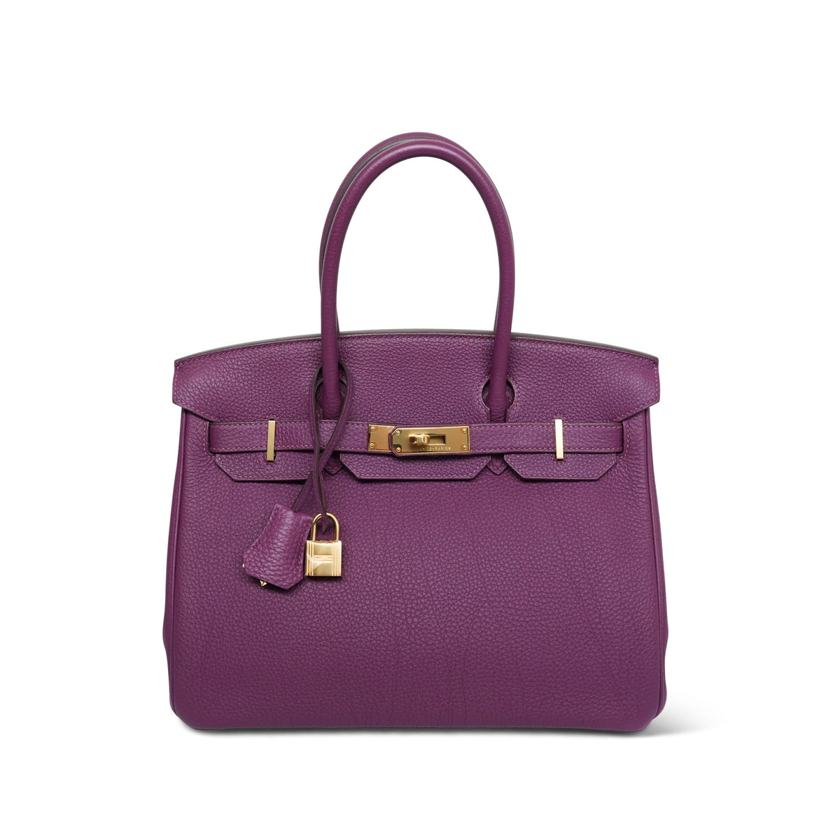 Birkin 30 Anemone Togo Gold Plated R Square Stamp