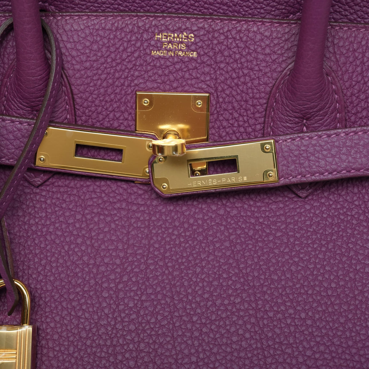 Birkin 30 Anemone Togo Gold Plated R Square Stamp