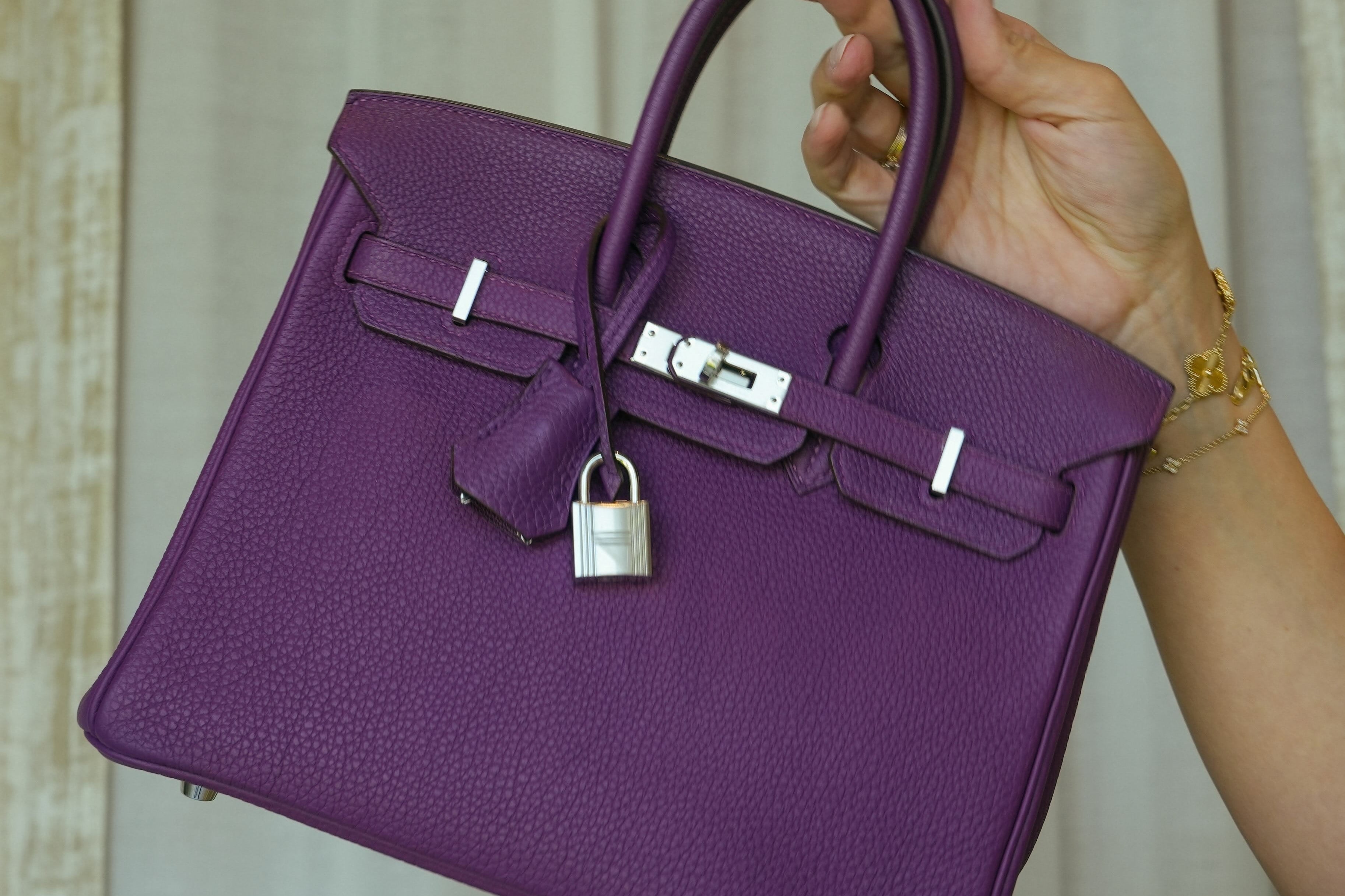 Birkin 25 Anemone Togo Palladium Plated R Square Stamp