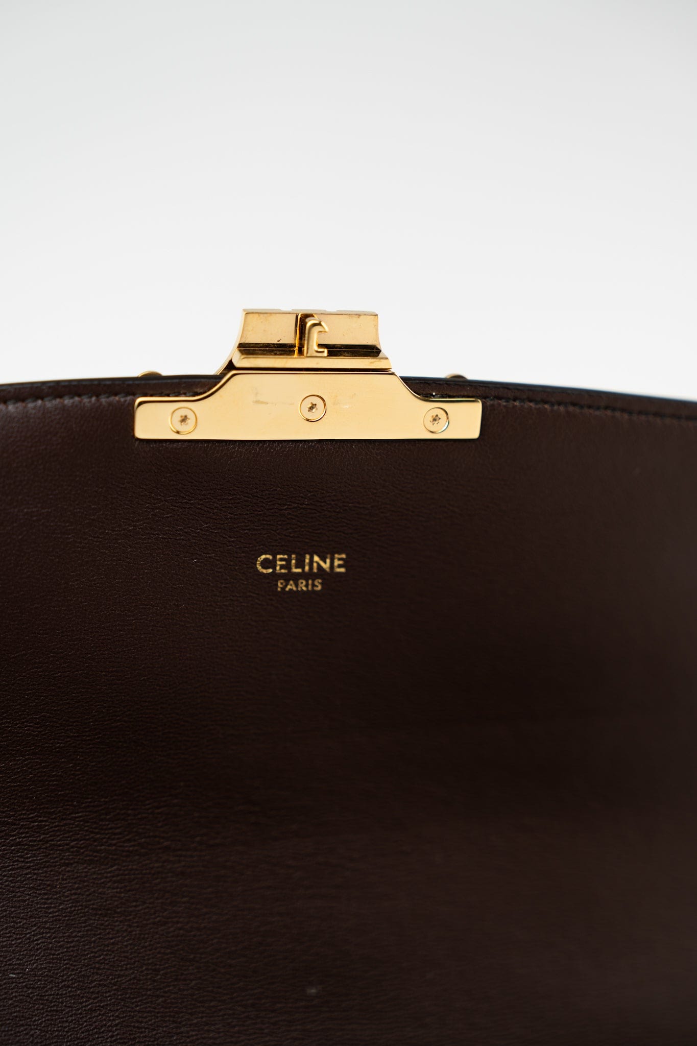 Celine Triomph Bag in Textile and Whips – REDELUXE