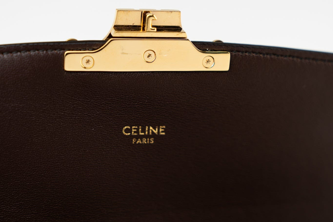 Celine Handbag Celine Triomph Bag in Textile and Whips - Redeluxe
