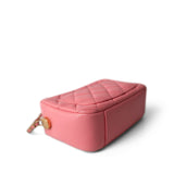 CHANEL Camera Case PINK 22S Pink Lambskin Quilted Camera Case Aged Gold Hardware - Redeluxe