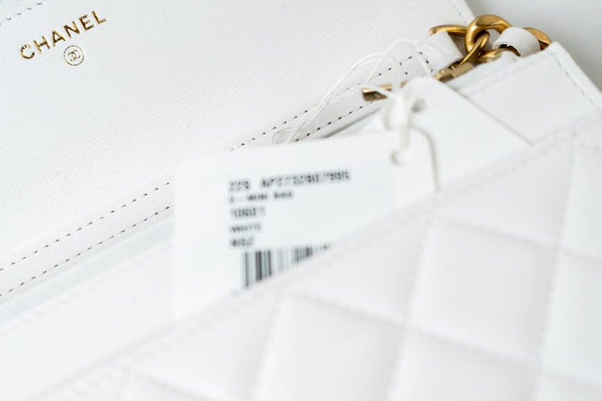 CHANEL Handbag 22S White Lambskin Quilted Wallet on Chain (WOC) - Redeluxe