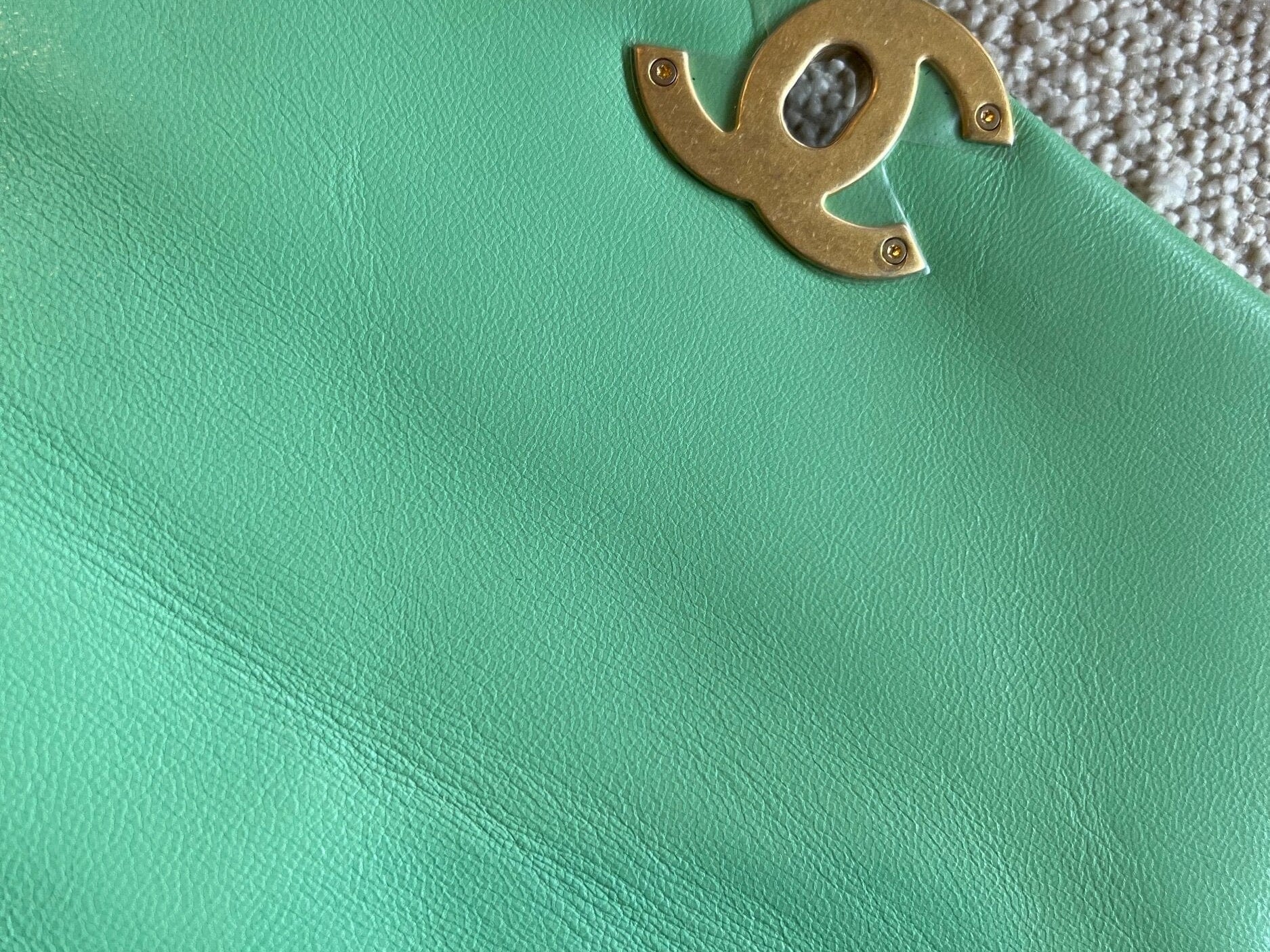 CHANEL Handbag Chanel Green Goatskin Quilted Small 19 Flap MHW - Redeluxe