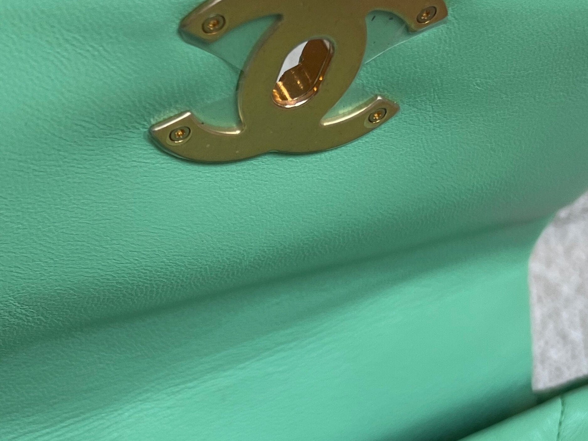 CHANEL Handbag Chanel Green Goatskin Quilted Small 19 Flap MHW - Redeluxe