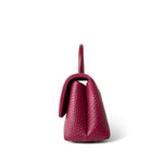 CHANEL Handbag Small / Old Mini Burgundy Python Coco Handle Aged Gold Hardware - Redeluxe