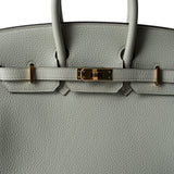 Hermes Handbag Birkin 25 Gris Neve Togo Leather Gold Hardware B Stamp - Redeluxe