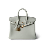 Hermes Handbag Birkin 25 Gris Neve Togo Leather Gold Hardware B Stamp - Redeluxe