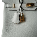 Hermes Handbag Birkin 25 Gris Neve Togo Leather Gold Hardware B Stamp - Redeluxe