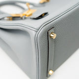 Hermes Handbag Hermes Birkin 30 Togo Blue Glacier Gold Plated - Redeluxe