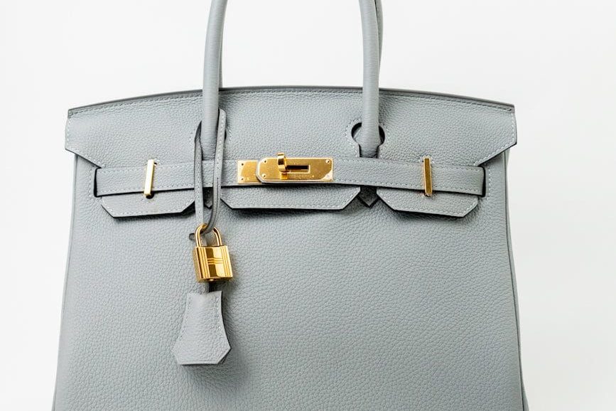 Hermes Handbag Hermes Birkin 30 Togo Blue Glacier Gold Plated - Redeluxe