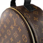Louis Vuitton Backpack Brown Palm Springs PM Monogram Back Pack - Redeluxe