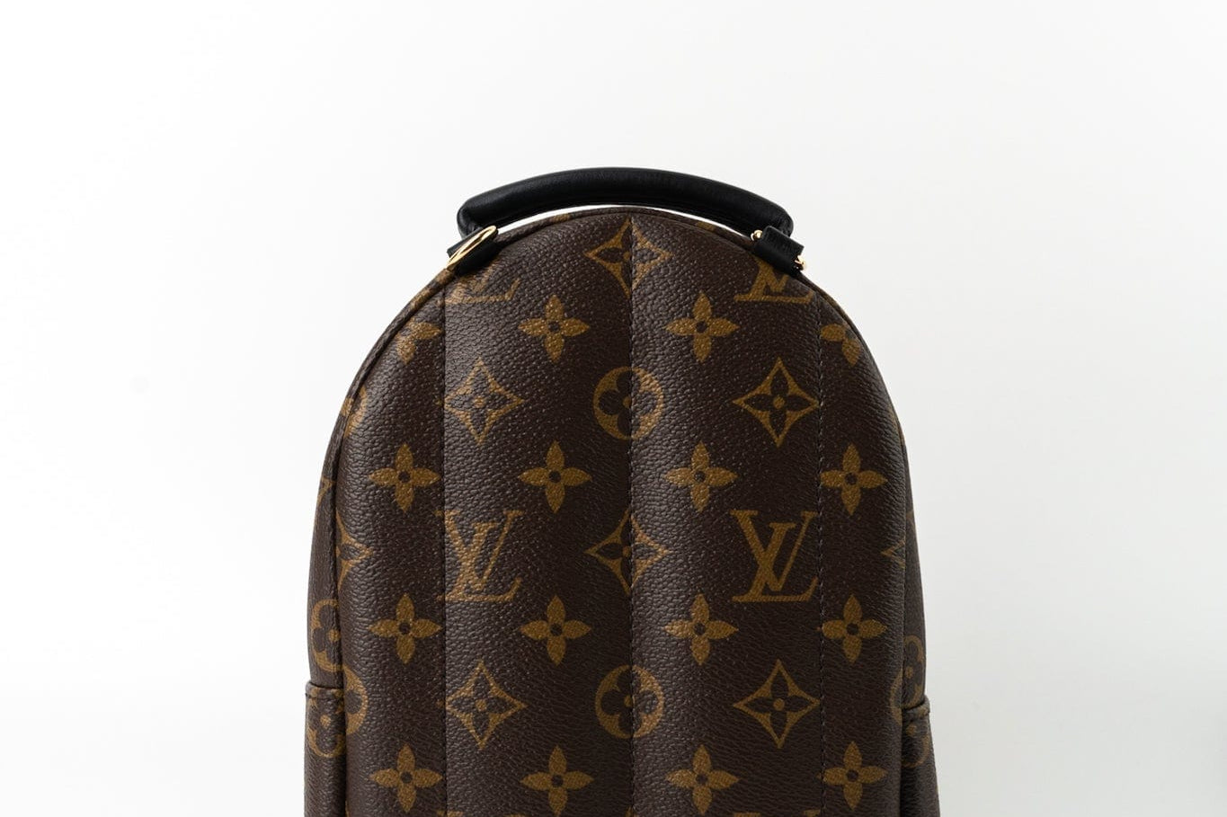 Louis Vuitton Backpack Louis Vuitton Palm Springs Mini Backpack Monogram - Redeluxe
