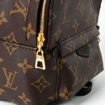 Louis Vuitton Backpack Louis Vuitton Palm Springs Mini Backpack Monogram - Redeluxe