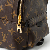 Louis Vuitton Backpack Louis Vuitton Palm Springs Mini Backpack Monogram - Redeluxe
