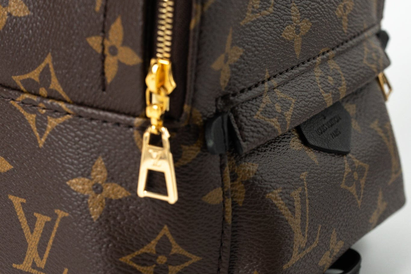 Louis Vuitton Backpack Louis Vuitton Palm Springs Mini Backpack Monogram - Redeluxe