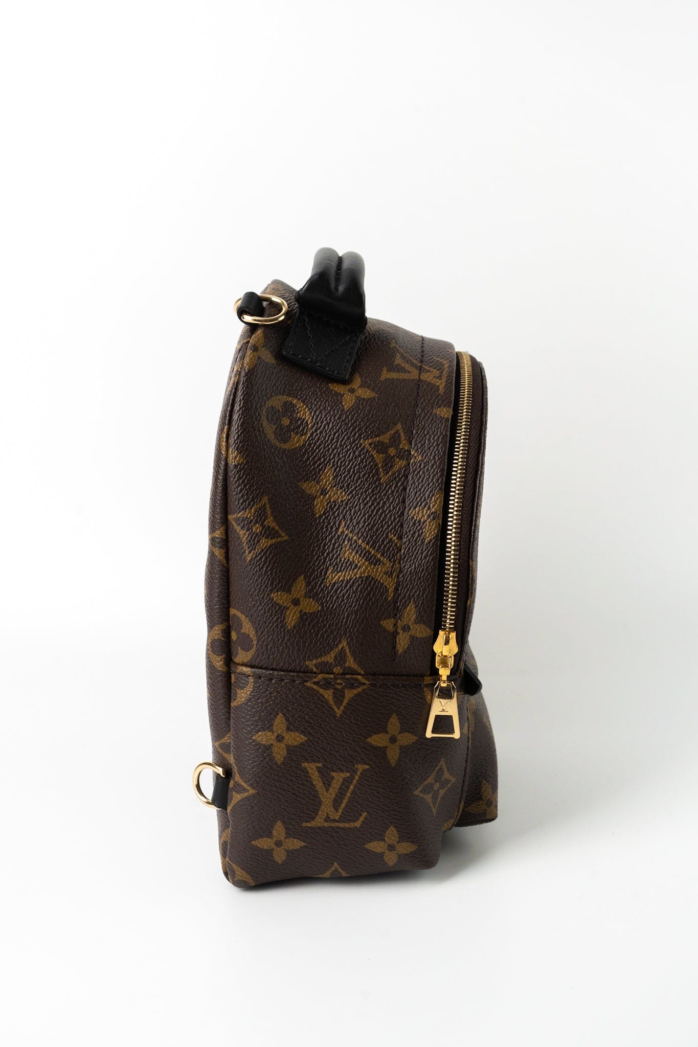 Louis Vuitton Palm Springs Mini Backpack Monogram – REDELUXE