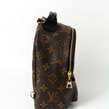 Louis Vuitton Backpack Louis Vuitton Palm Springs Mini Backpack Monogram - Redeluxe