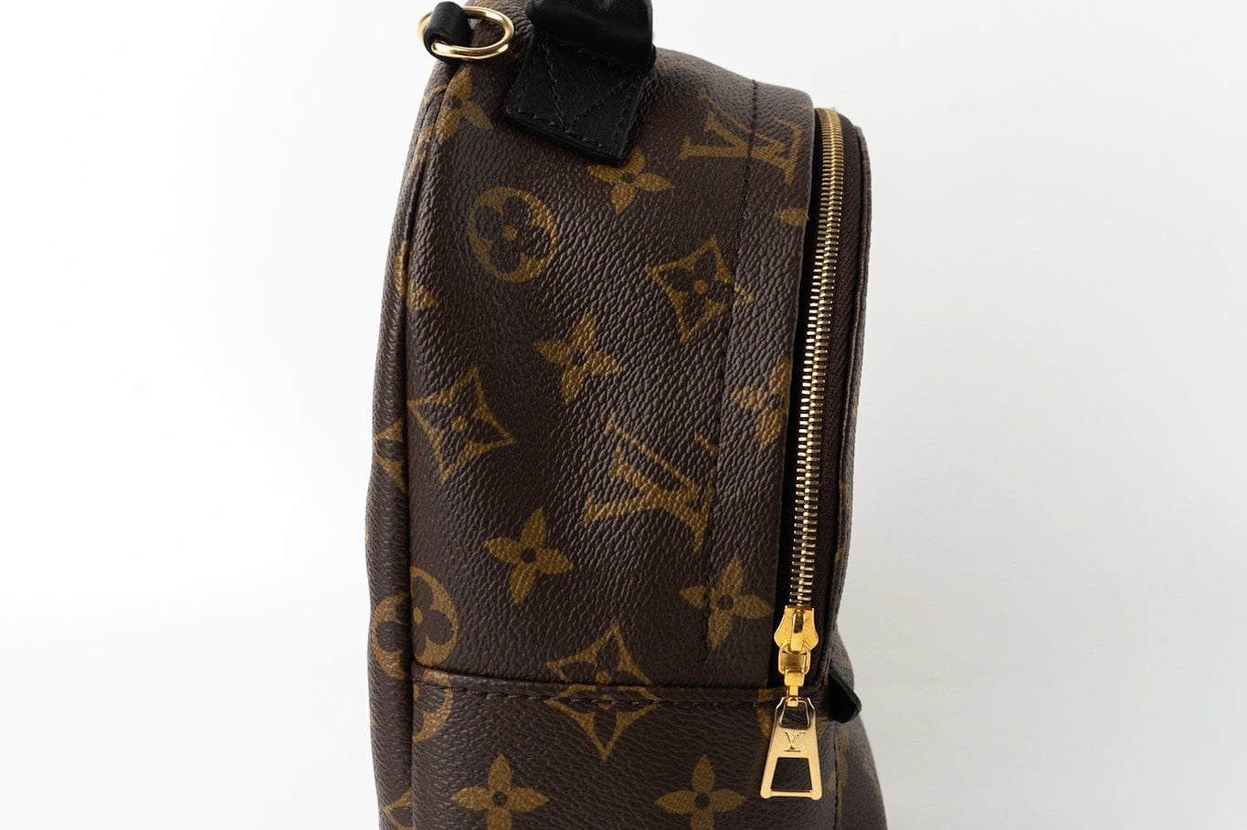 Louis Vuitton Backpack Louis Vuitton Palm Springs Mini Backpack Monogram - Redeluxe