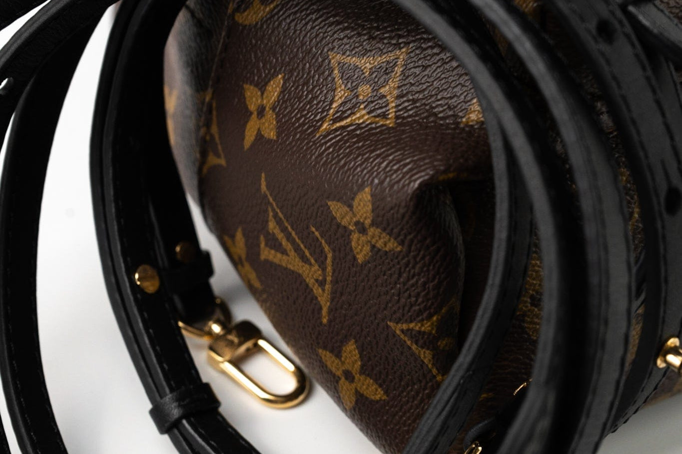 Louis Vuitton Backpack Louis Vuitton Palm Springs Mini Backpack Monogram - Redeluxe
