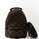 Louis Vuitton Backpack Louis Vuitton Palm Springs Mini Backpack Monogram - Redeluxe