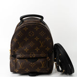 Louis Vuitton Backpack Louis Vuitton Palm Springs Mini Backpack Monogram - Redeluxe