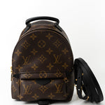 Louis Vuitton Backpack Louis Vuitton Palm Springs Mini Backpack Monogram - Redeluxe