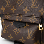 Louis Vuitton Backpack Louis Vuitton Palm Springs Mini Backpack Monogram - Redeluxe