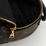 Louis Vuitton Backpack Louis Vuitton Palm Springs Mini Backpack Monogram - Redeluxe