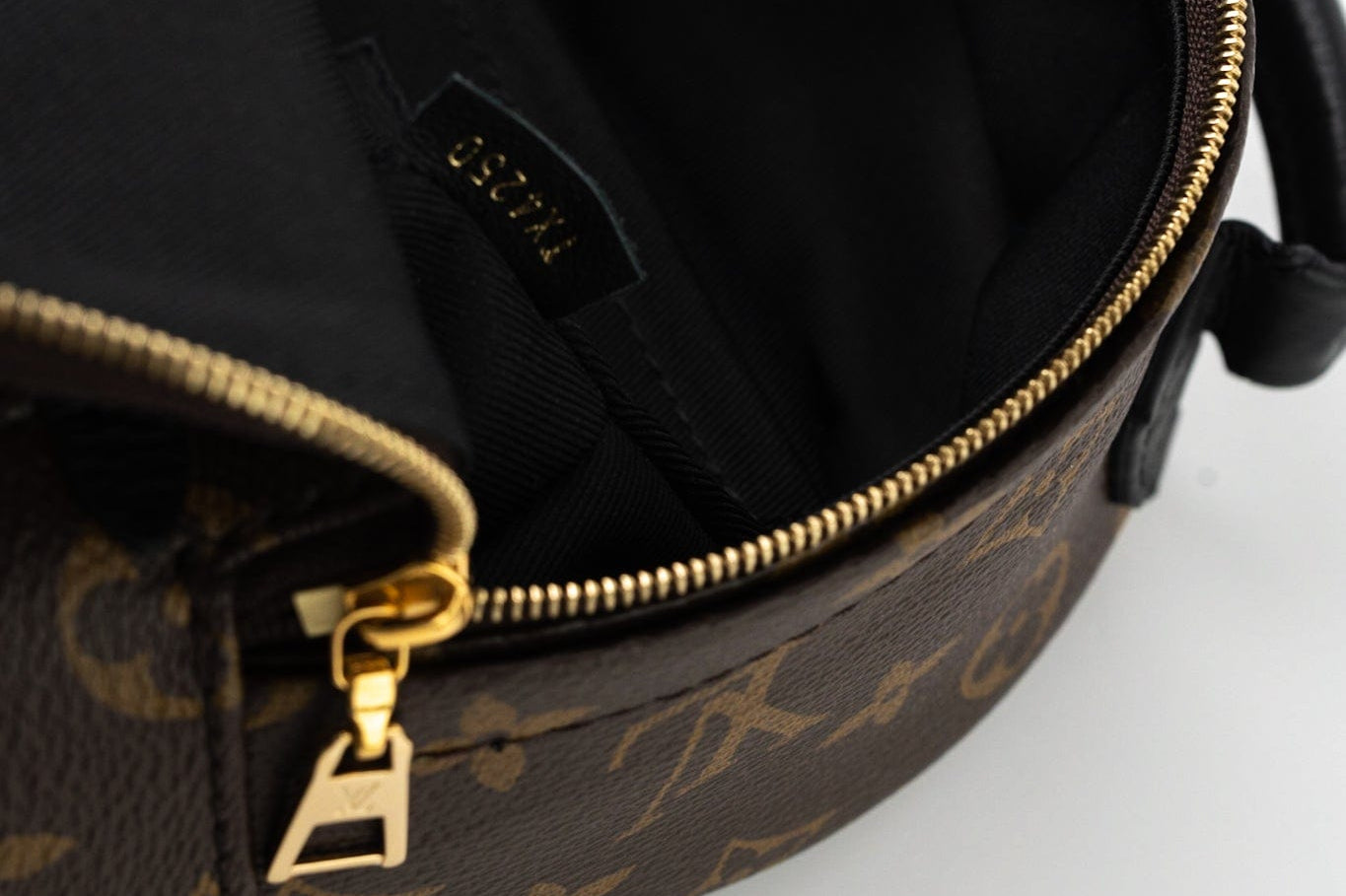 Louis Vuitton Backpack Louis Vuitton Palm Springs Mini Backpack Monogram - Redeluxe