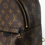 Louis Vuitton Backpack Louis Vuitton Palm Springs Mini Backpack Monogram - Redeluxe