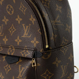 Louis Vuitton Backpack Louis Vuitton Palm Springs Mini Backpack Monogram - Redeluxe