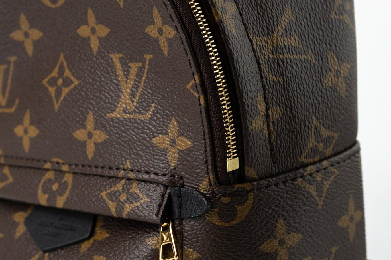 Louis Vuitton Backpack Louis Vuitton Palm Springs Mini Backpack Monogram - Redeluxe