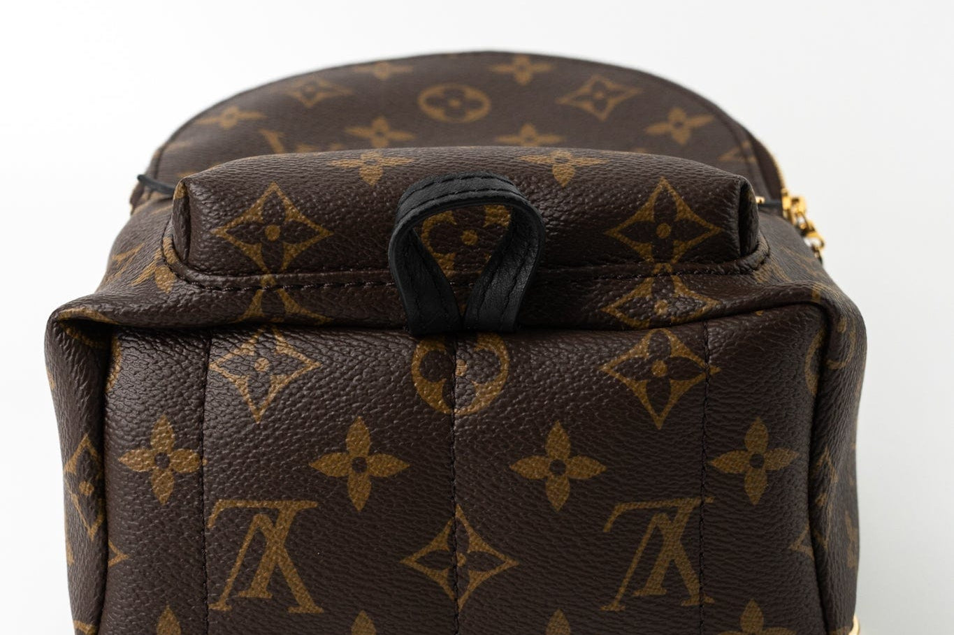 Louis Vuitton Backpack Louis Vuitton Palm Springs Mini Backpack Monogram - Redeluxe